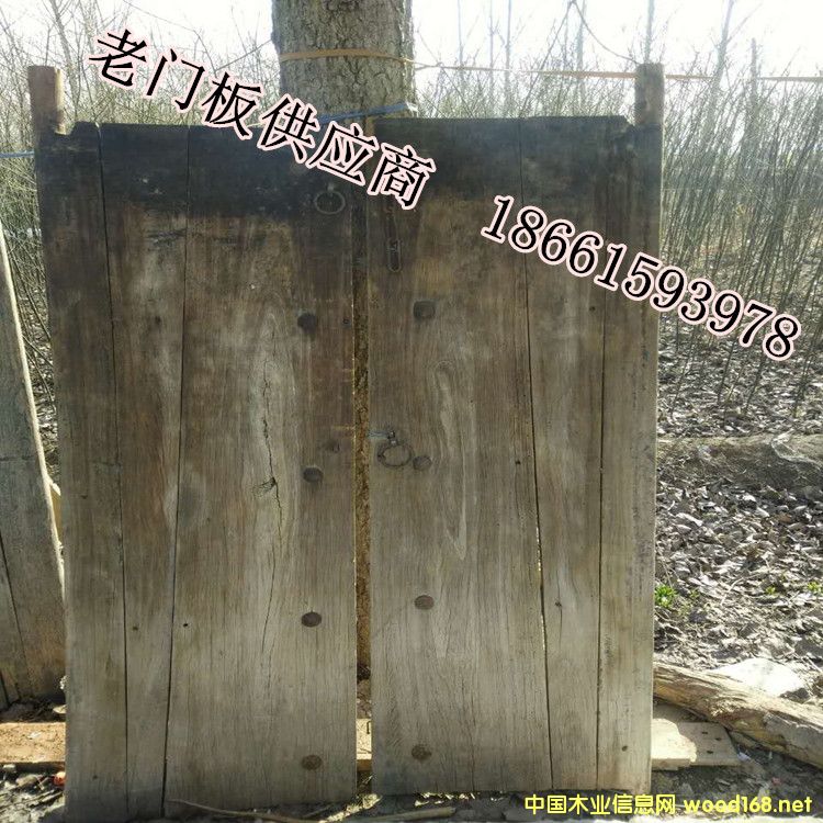 �L�����T��