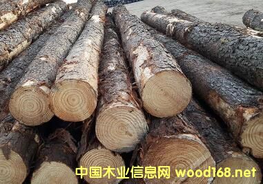 ���������ɵ�Ԕ��(x��)��B