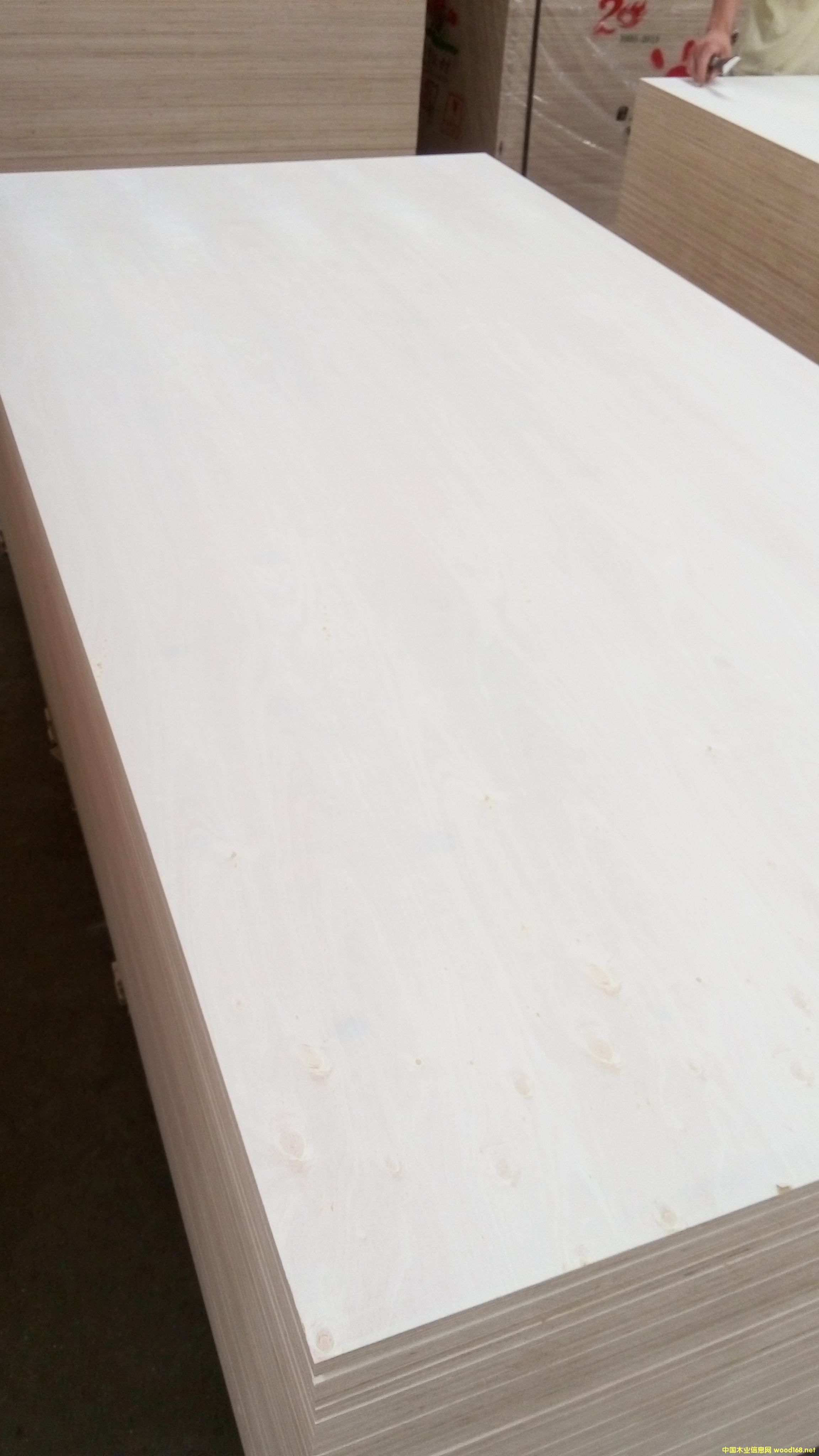 18mm�oȩȫ��ľ���B(t��i)��