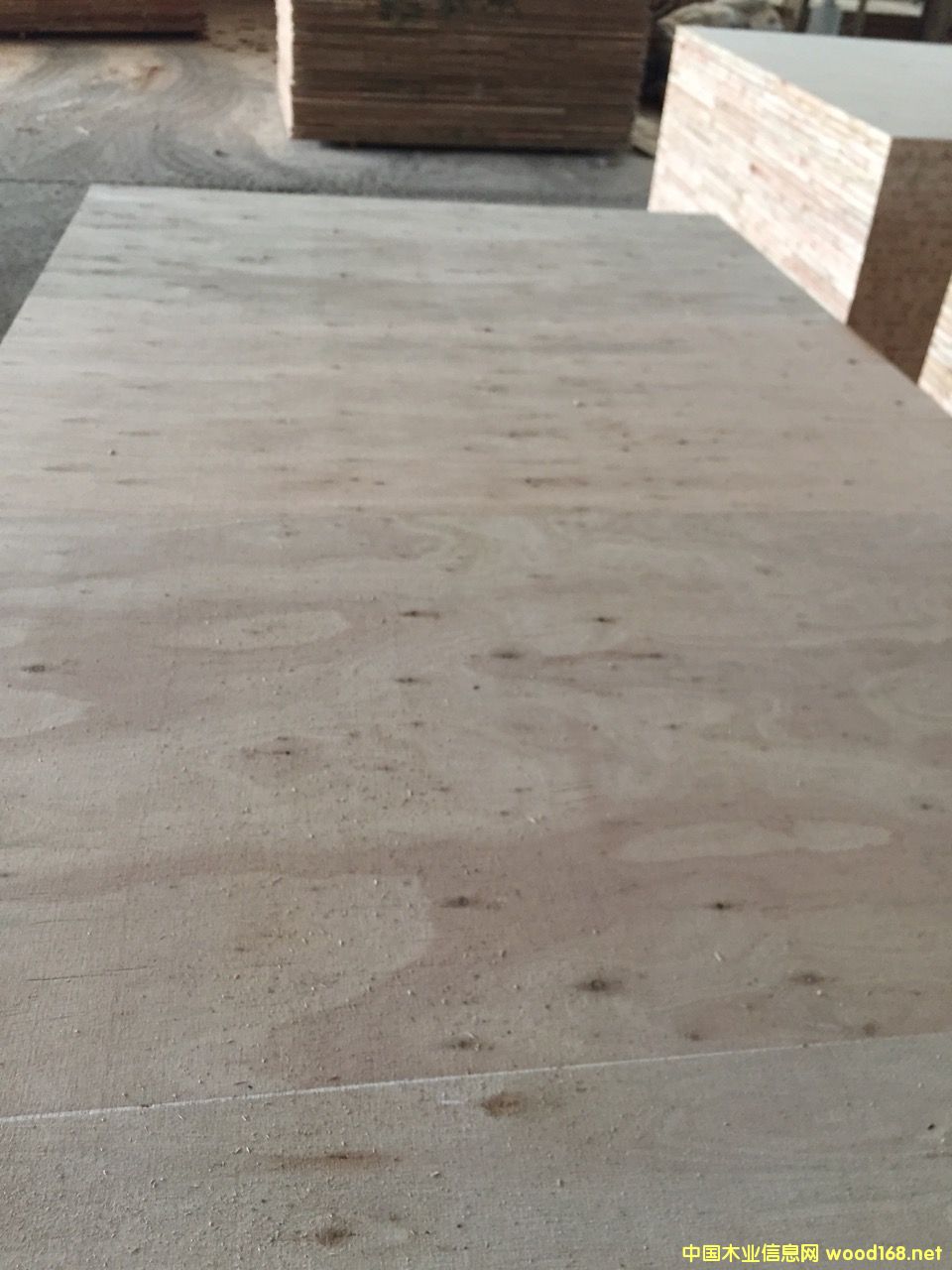 ��ľľо���Ԕ��(x��)��B