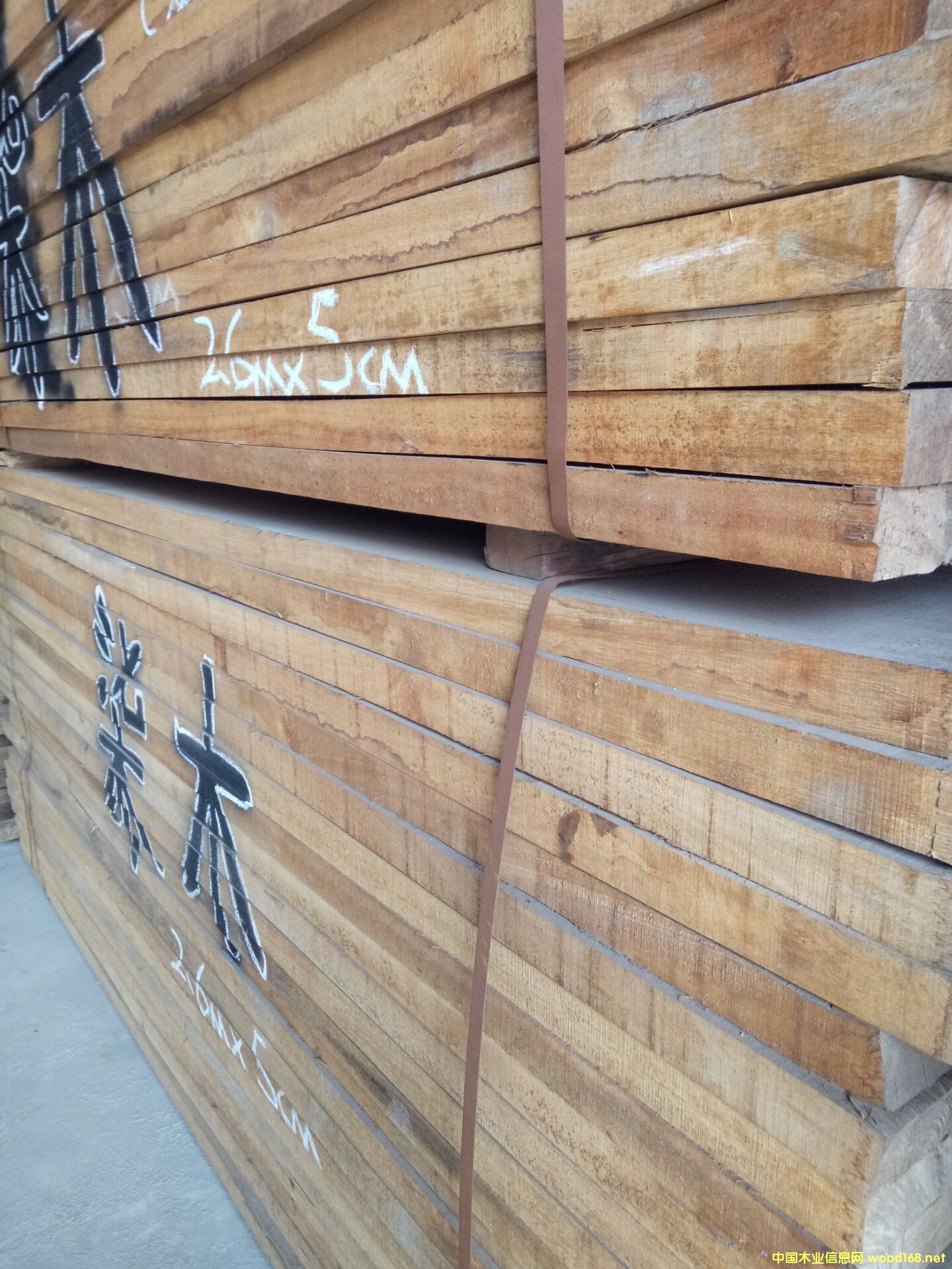 緬甸漆木的詳細(xì)介紹