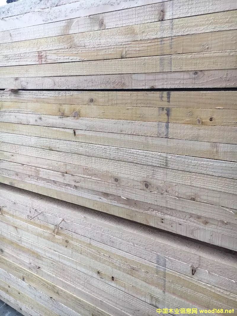 鐵衫的詳細(xì)介紹