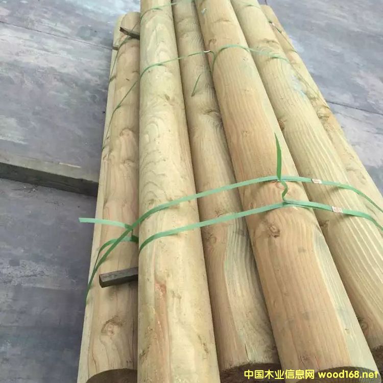 �����ɷ���ľ�A��