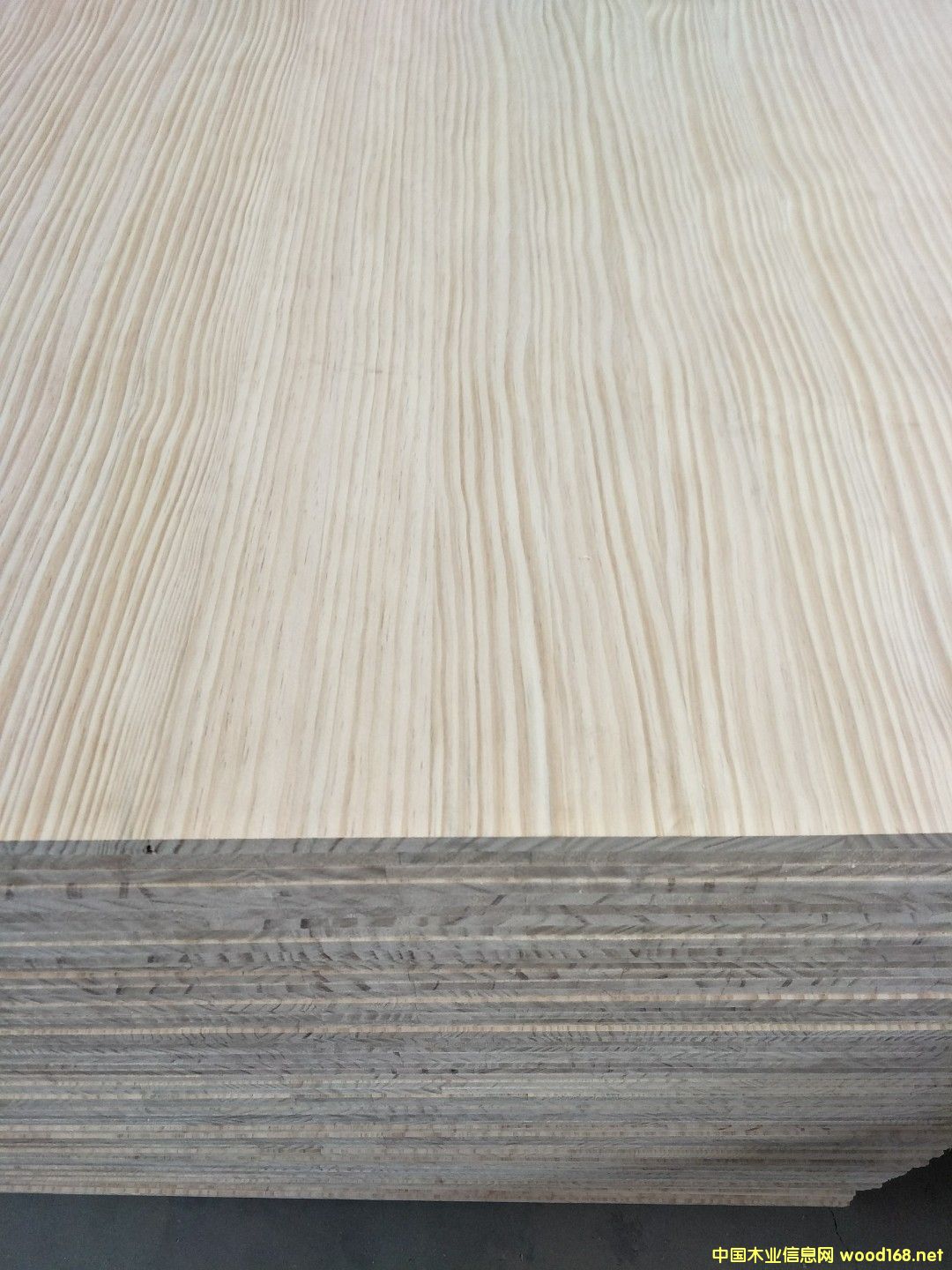 ݗ�x��ֱƴ���Ԕ����B