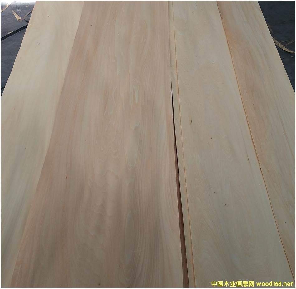 ���_˹�ľľƤ����