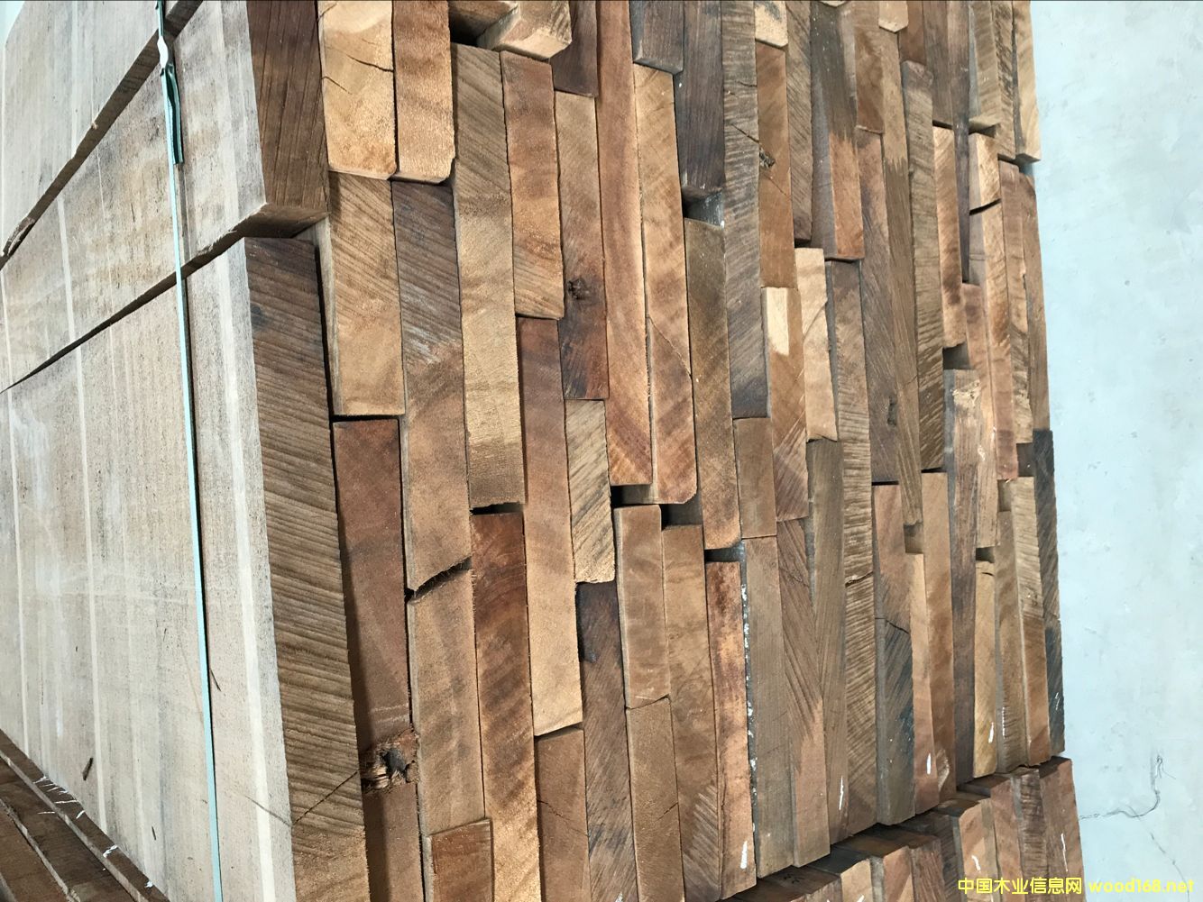 [��] ����ľ���