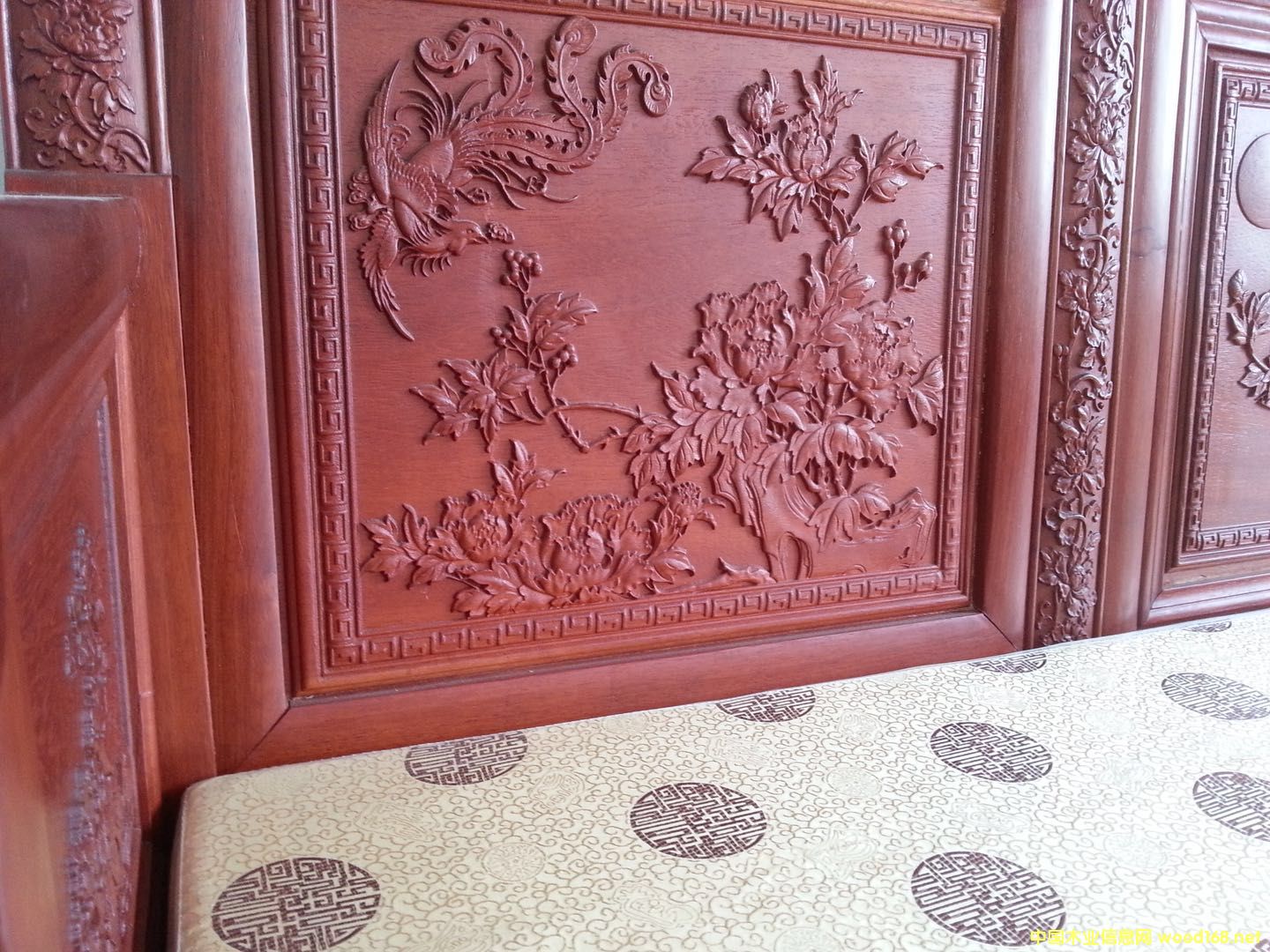 ��������ľ��Ԕ����B