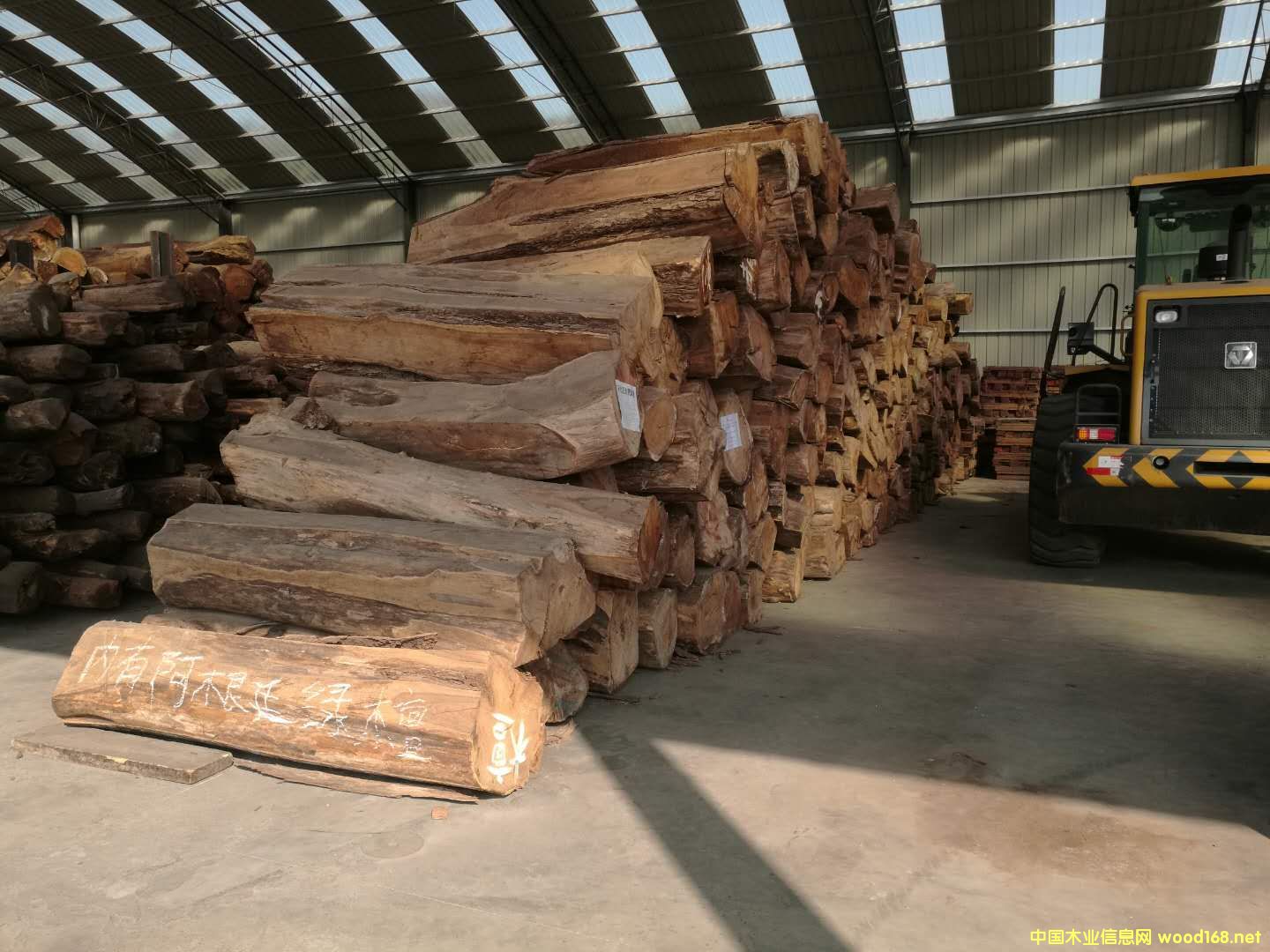 ���ȁ������̴