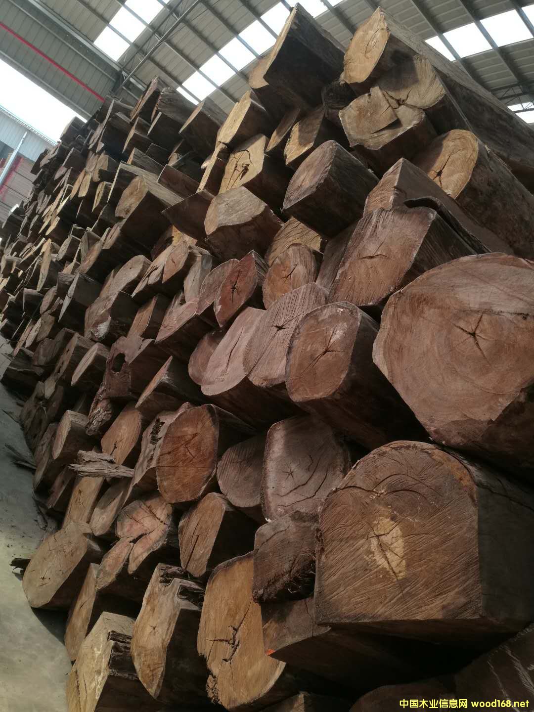 ���ȁ������̴