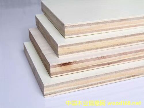 ��(sh��)ľ��о