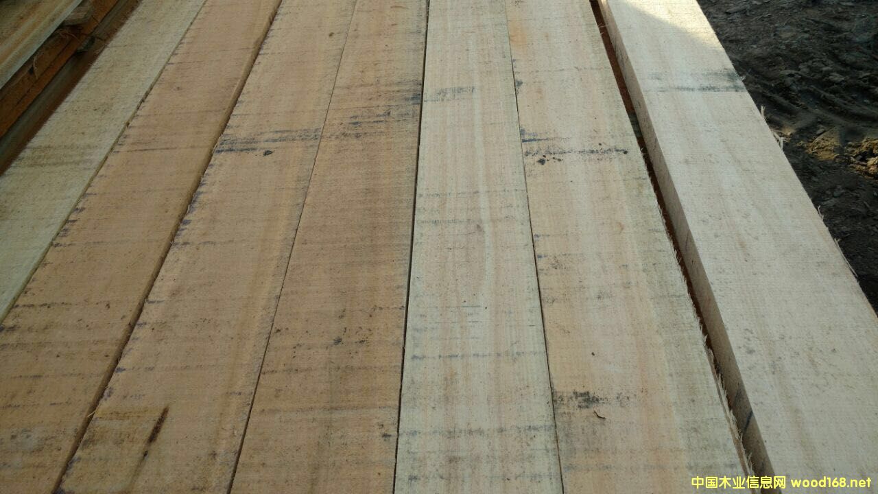 õ����ľ F.A.S 피� �������o��(ji��)�c��Ԕ����B