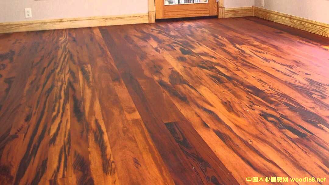 TIGER WOOD ����ľ