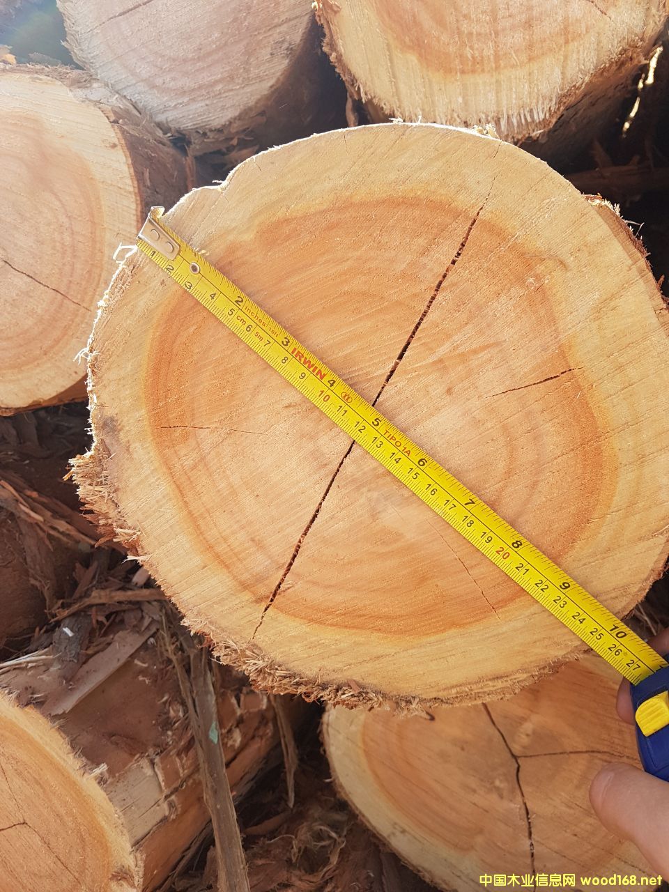 ����õ����ľ ԭľ��Ԕ����B