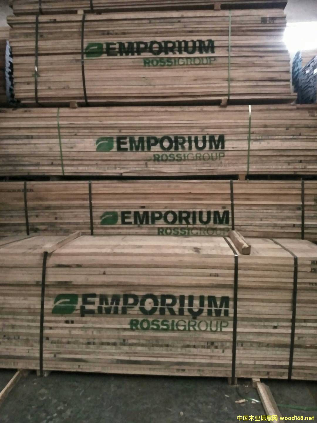 紅橡的詳細(xì)介紹