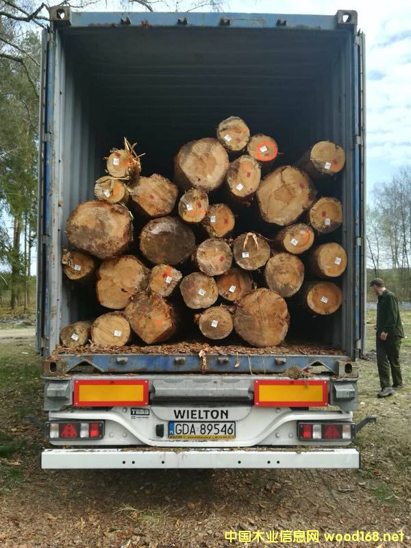 ������ԭľ��؛��Ԕ��(x��)��B