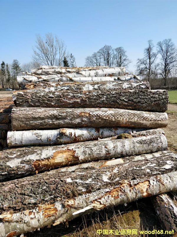 ��ľԭľ��؛��Ԕ��(x��)��B