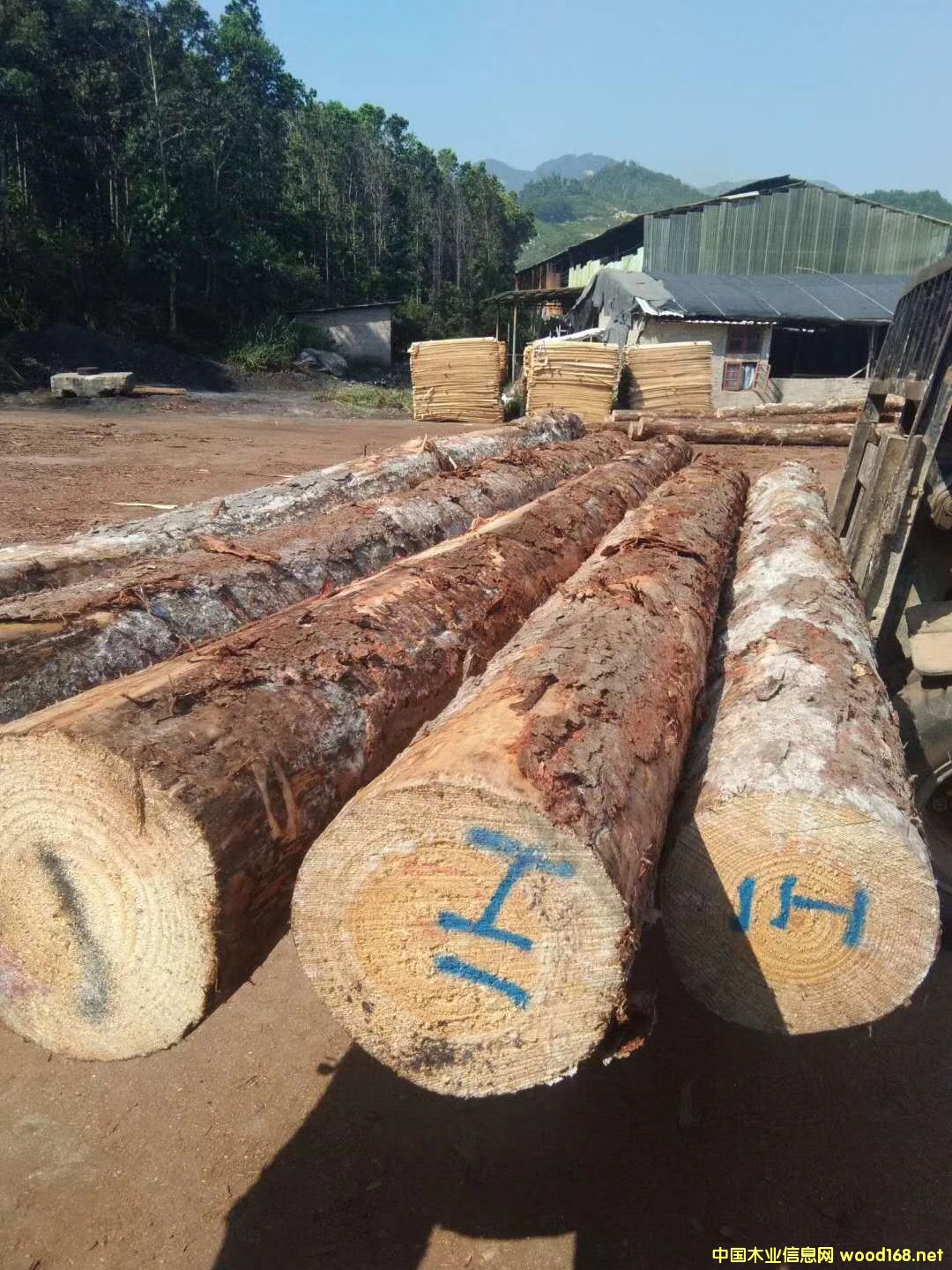 ݗ����ԭľ��Ԕ��(x��)��B