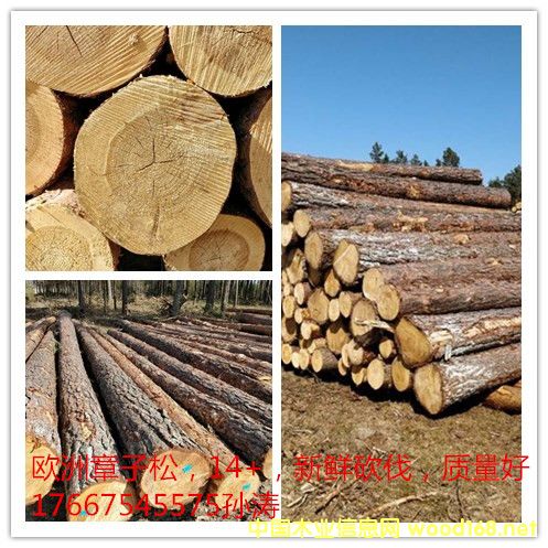 ������ԭľ��Ԕ��(x��)��B