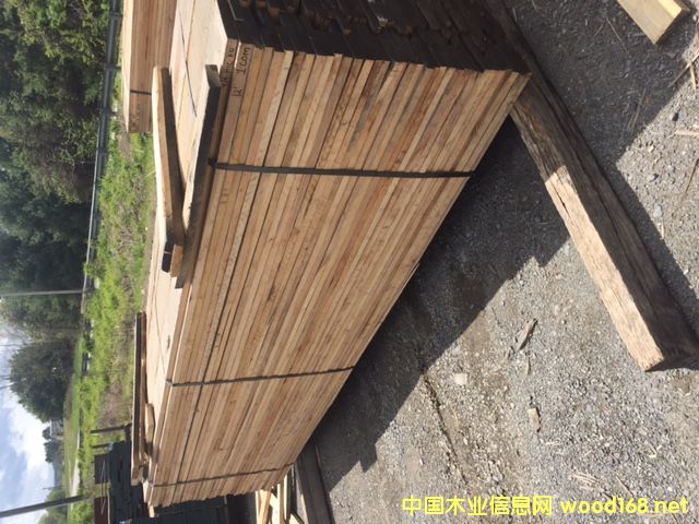 ����ɽ����