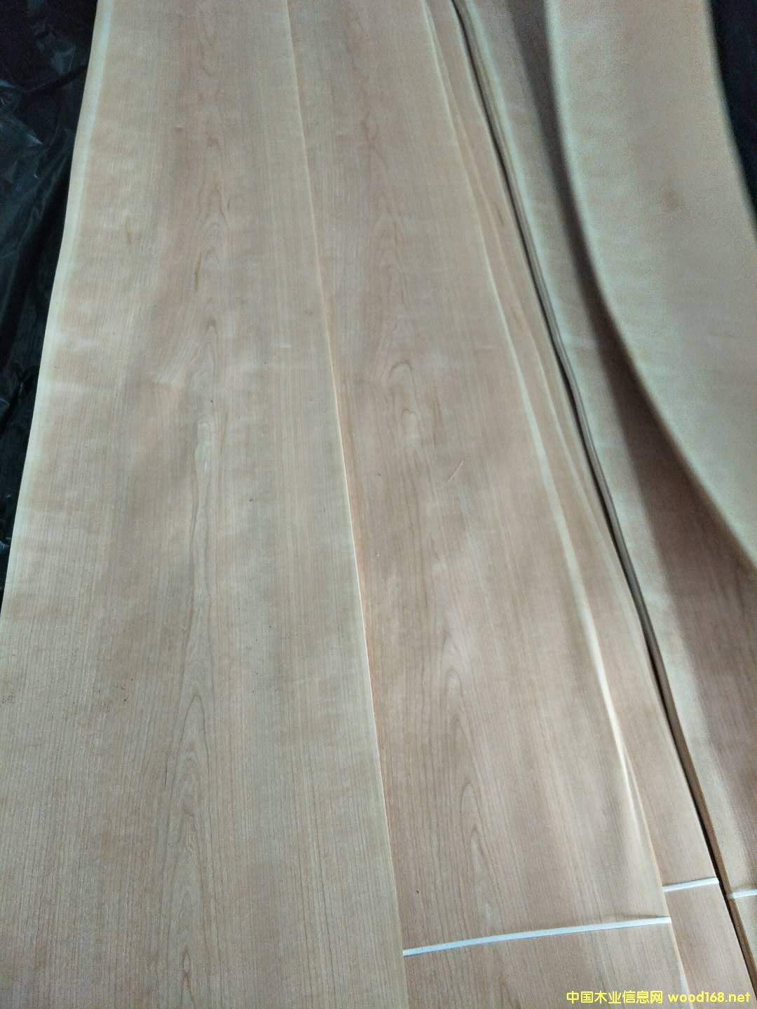 ���ҵ�Ԕ��(x��)��B