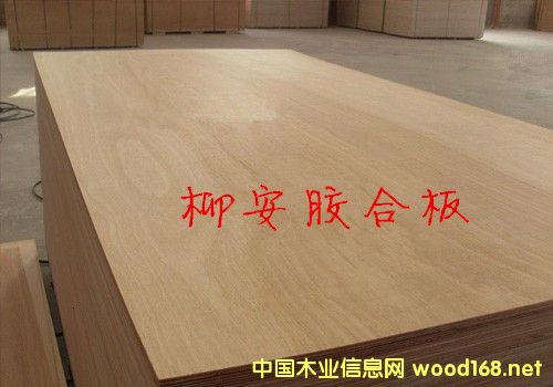 [��] �����Ҿ߰� �z�ϰ�