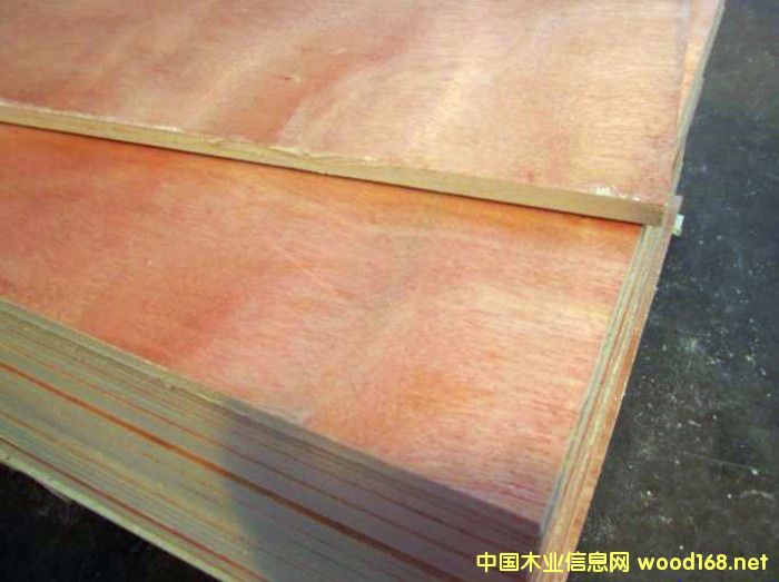 [��] ����(y��ng)18�Ό��һ�о��(x��)ľ����