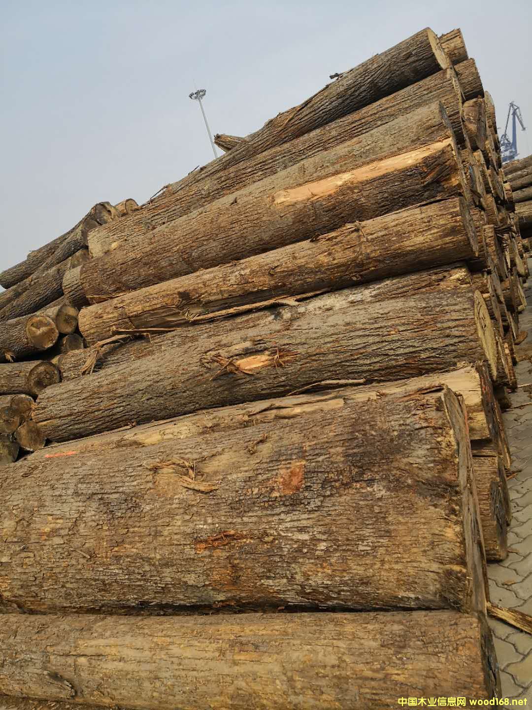 ����(gu��)�ľ