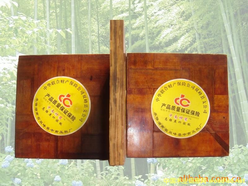 �������z���Ԕ��(x��)��B