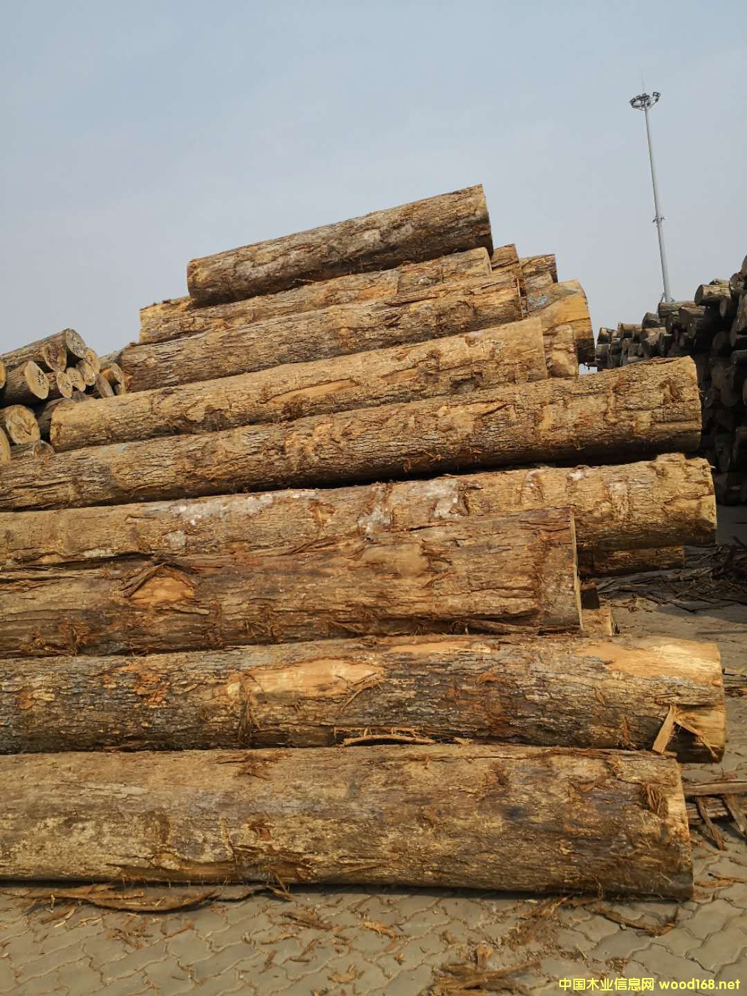 ����(gu��)�����Ԕ��(x��)��B