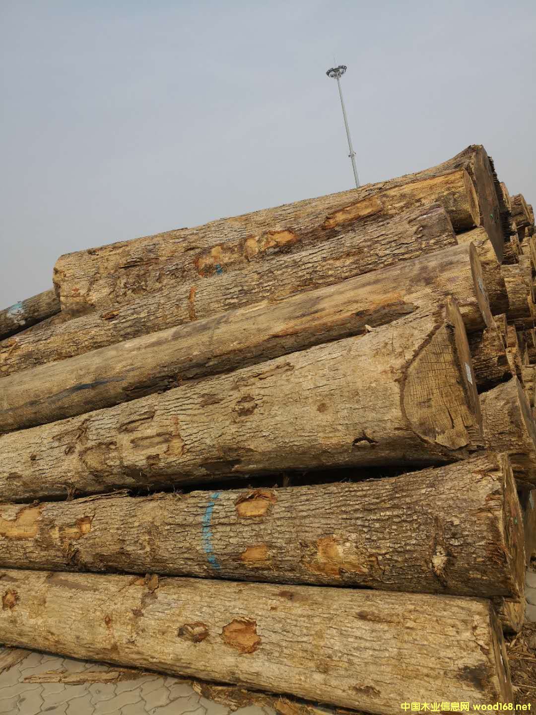 ����(gu��)�����Ԕ��(x��)��B