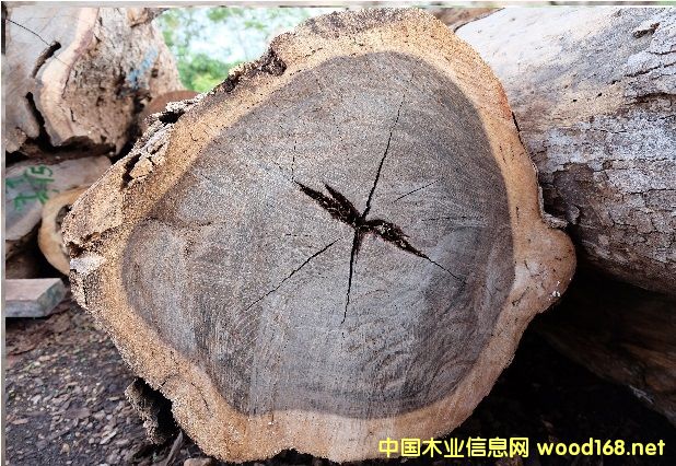 ī����ʼҺ�̴( KATALOX )