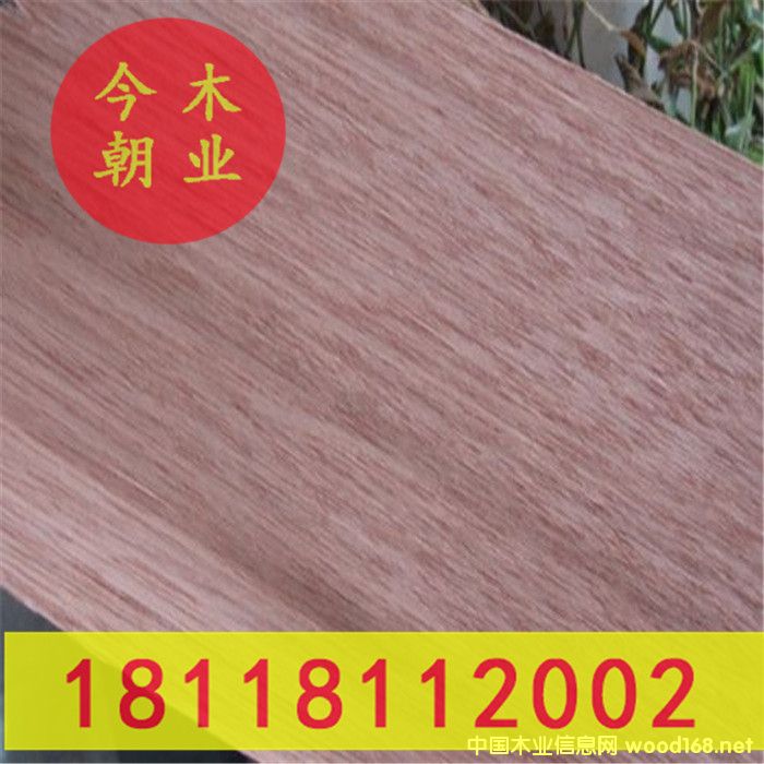 ɽ��ľ�@�ֹŽ����ߵ�Ԕ��(x��)��B