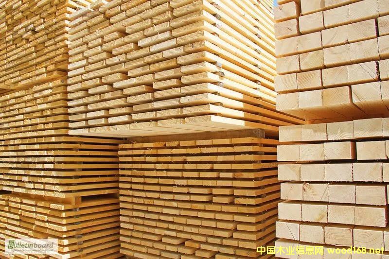 [��] ��ľ����ľ��