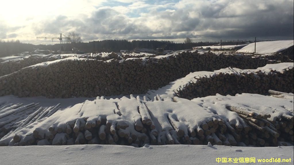 [��] ��ľ����ľ���