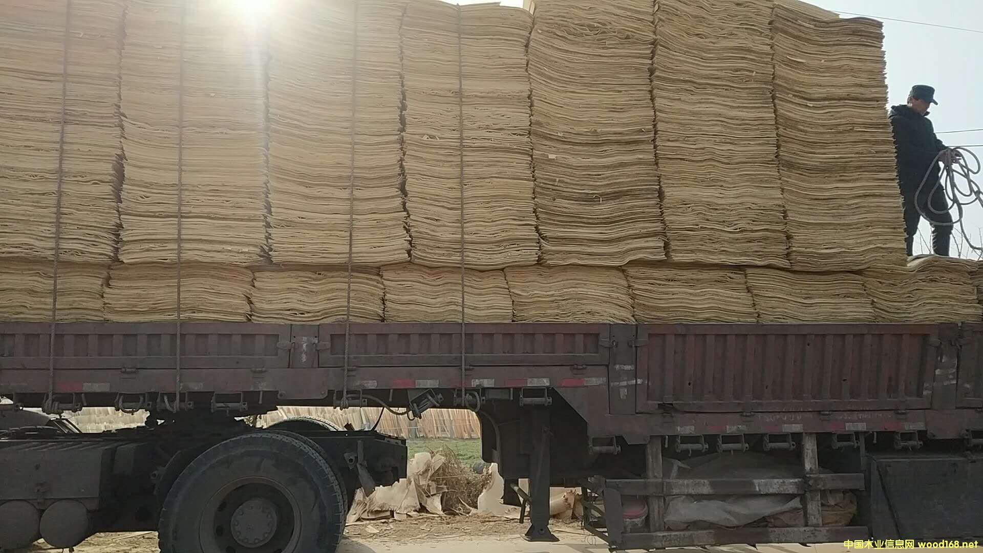 ��ľƤ�ӵ�Ԕ��(x��)��B