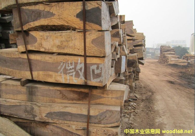 �����M��΢���S̴������t��֦