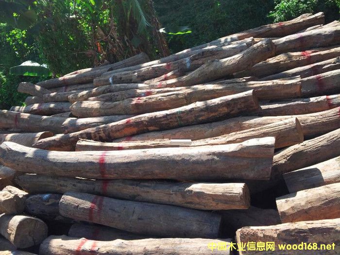 �����M(j��n)�ھ������֦ԭľ