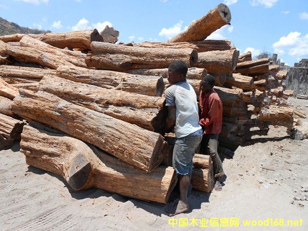 �����M(j��n)��Īɣ�ȿ˼t�F��ԭľ