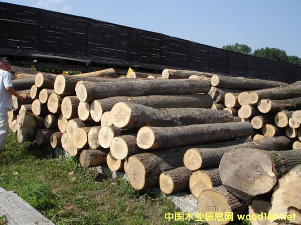 �����M(j��n)�ڶ��_˹ˮ����ԭľ