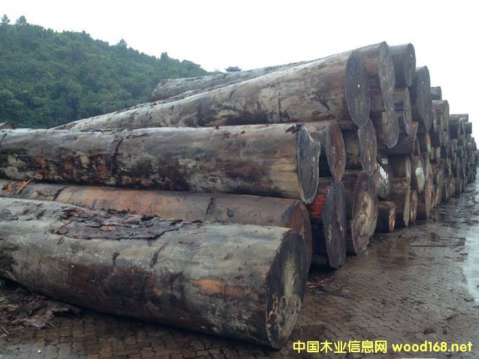 �����M�ڊW����ԭľ