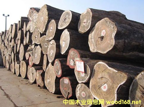 �����M�ڼt���Rԭľ