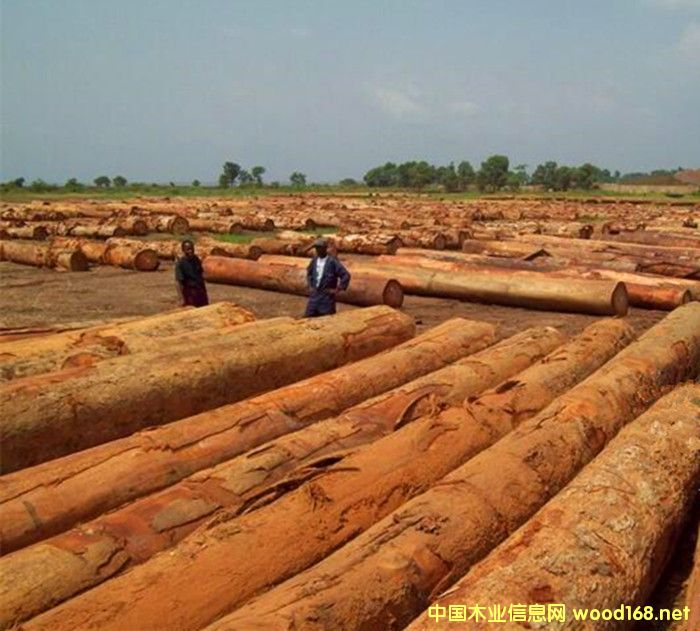 �����M�ھ����܇����ԭľ