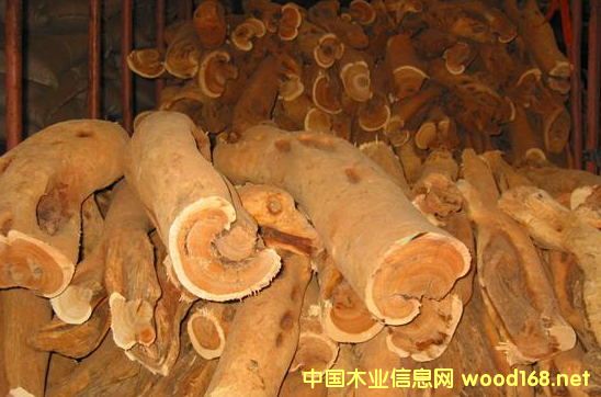 ̴��ľ�����M(j��n)��ӡ����ɽ̴��