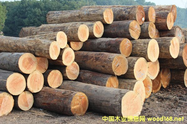 �����M(j��n)�ڻ�����ԭľ