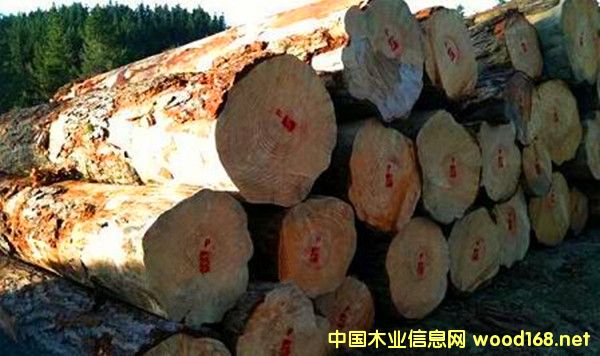 �����M(j��n)�������mݗ����ԭľ