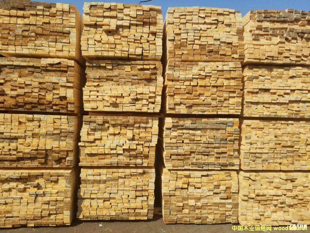 ���_˹���������~���������ɰ������ľ���~Ƭ