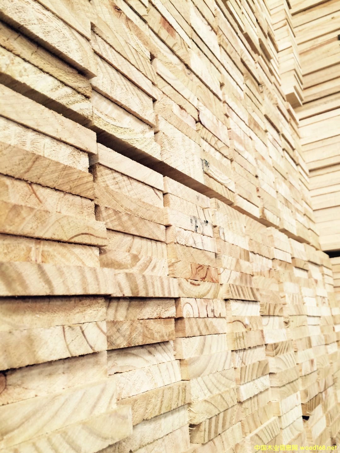 [��] �бP��壻�бP�B�Ӱ����бP�װ壻�бP��壻�бP�_��