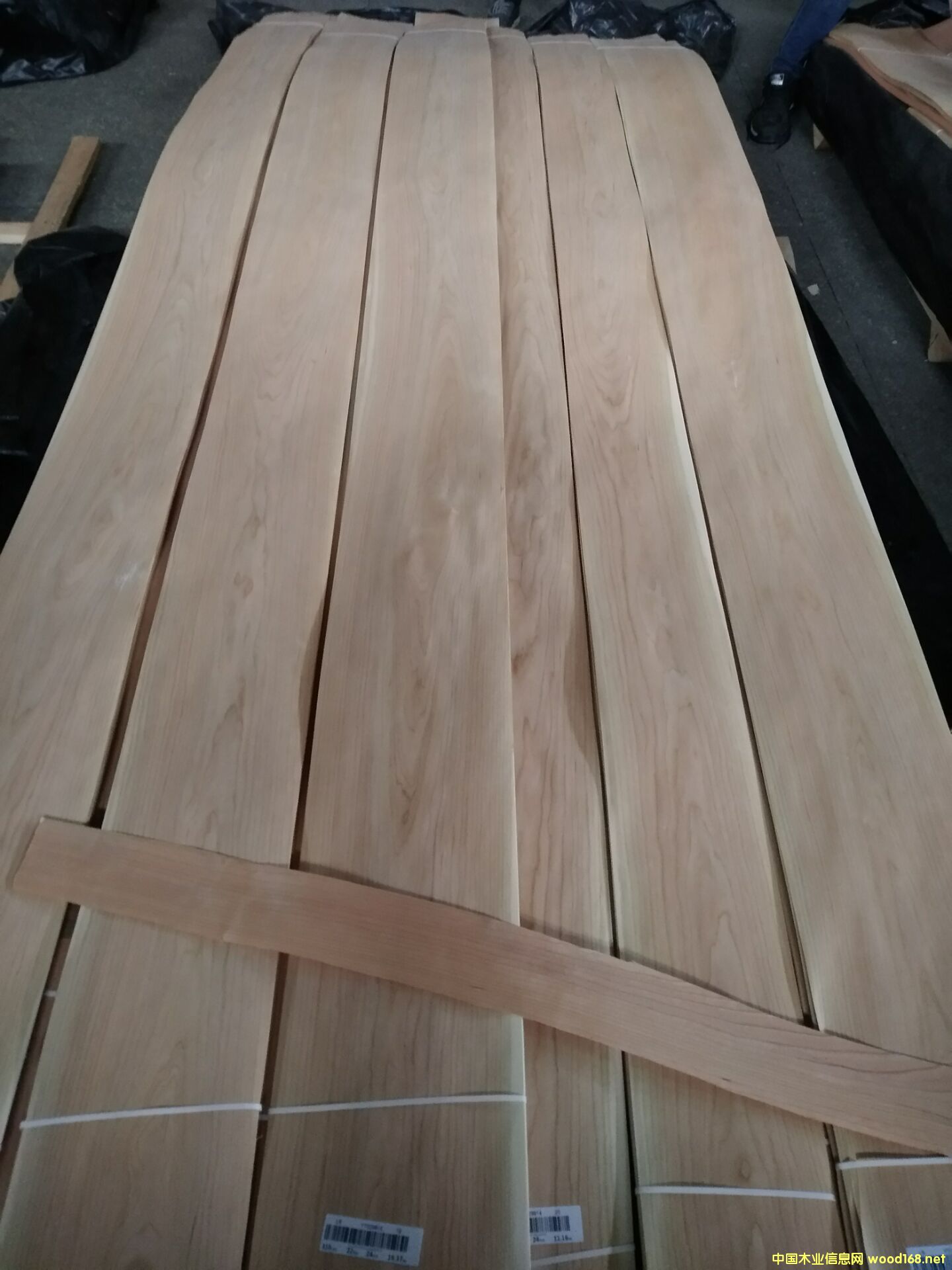 ����ɽ�y��Ԕ����B