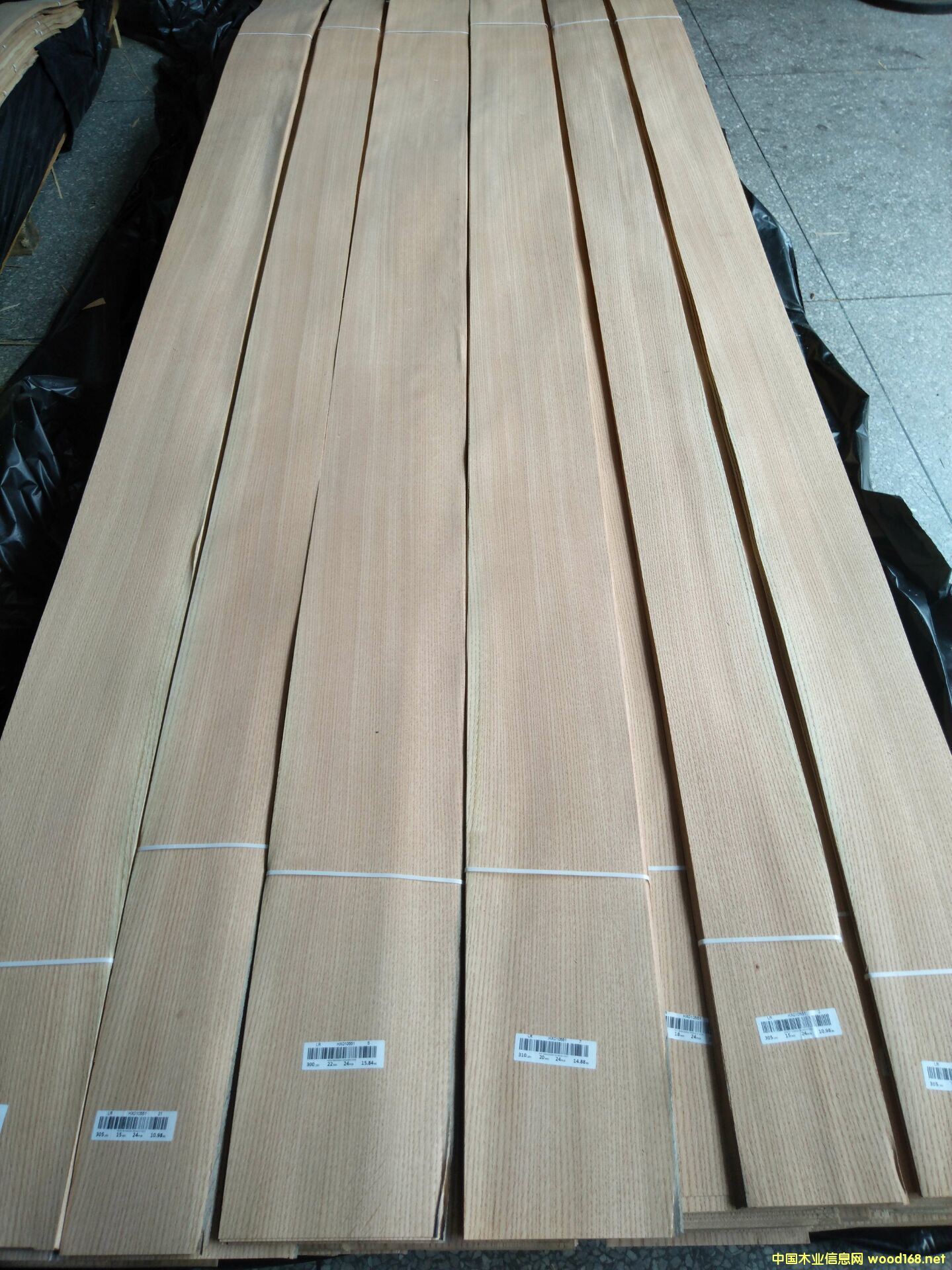 ����ֱ�y��Ԕ����B