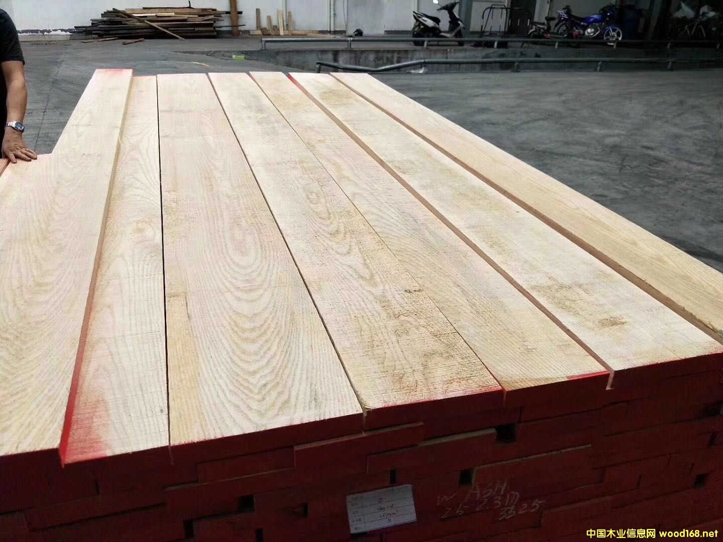 白蠟的詳細(xì)介紹